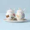 Lenox Butterfly Meadow 7-Piece Condiment Set 1 Lenox Butterfly Meadow 7-Piece Condiment Set -Lenox 833956 w10 e7bcc431 6d54 46c0 8de6 0e98be83039f