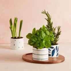 Lenox Blue Bay 4-Piece Snack Bowl & Tray Set 7 Lenox Blue Bay 4-Piece Snack Bowl & Tray Set -Lenox 890207 LNP S21 FEA 3